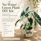 A No-Water Handmade Greenery - Evergreen Beads Plant DIY Kit