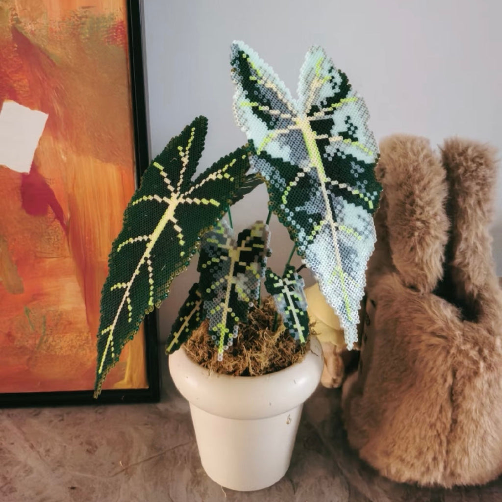 A No-Water Handmade Greenery - Evergreen Beads Plant DIY Kit